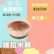 無麵粉提拉米蘇買3送1共4盒_620冰淇淋月