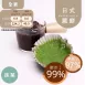日式抹茶蕨餅  Japanese Warabi Mochi 無精緻澱粉