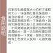 巧克力巴斯克乳酪蛋糕 無麵粉