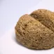 香椰烤包|麥麩皮|生酮 Wheat Bran Meal Bread